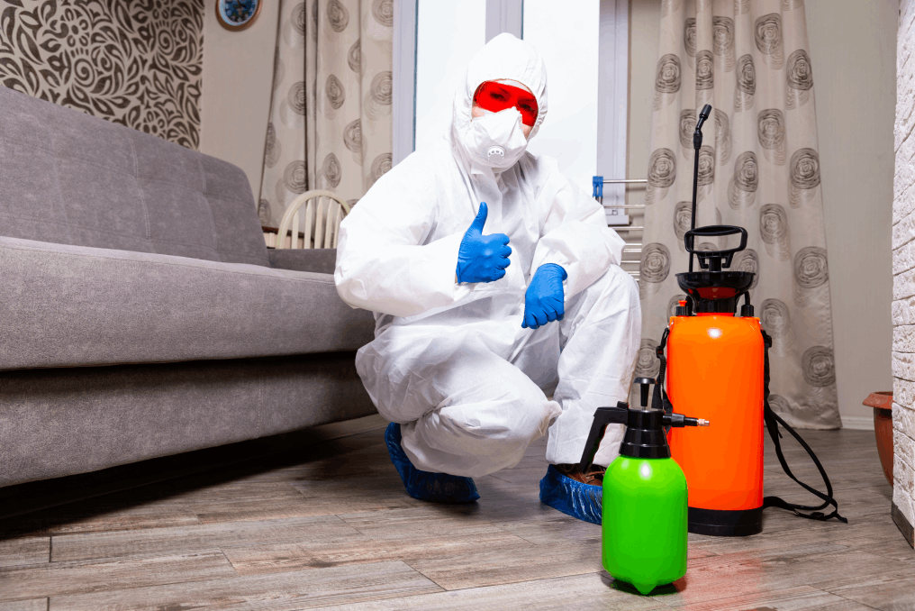 Hawx Pest Control Reviews: Customer Service That Makes a Difference